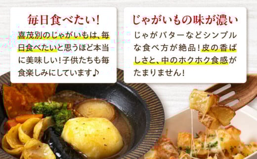 新じゃが じゃがいも キタアカリ 10Kg ジャガイモ じゃがいも 野菜 季節の野菜 詰め合わせ 北海道 産地直送 