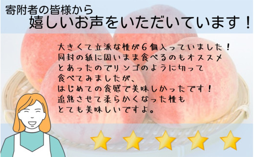先行予約】 朝もぎ直送！山梨の桃 大玉(340g以上) 5~6玉 2kg箱 化粧箱【2025年7月上旬から発送】おさだ農園[5839-0171] -  山梨県市川三郷町｜ふるさとチョイス - ふるさと納税サイト