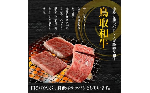 鳥取県倉吉市のふるさと納税 鳥取和牛 オレイン55 ヒレステーキ250g 牛肉 ヒレ ヒレステーキ 和牛 国産牛 ステーキ 黒毛和牛 肉 国産 ブランド牛 赤身 希少部位 最高級部位 鳥取県 倉吉市