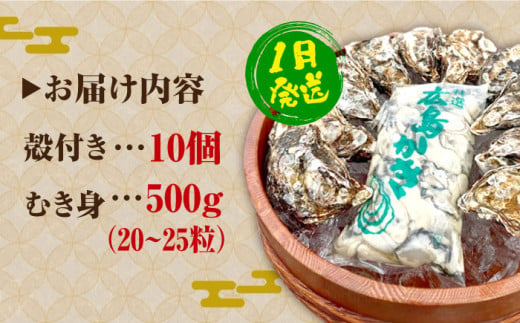 広島県江田島市のふるさと納税 【1月11日（土）着】牡蠣 生食 むき身 殻付き 大粒でぷりっぷり！【生牡蠣】【着日指定可能】かきうちの 牡蠣 むき身 500g＆殻付き 10個 牡蠣 かき カキ むき身 生牡蠣 広島 江田島市/株式会社かきうち[XBK004]