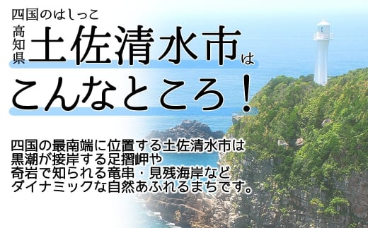 天然素材のシーボトル制作キット（１本用）工作 インテリア 雑貨 海 小物 貝殻 サンゴ 夏休み なつやすみ 自由研究 ハンドメイド  手作り【R01332】 - 高知県土佐清水市｜ふるさとチョイス - ふるさと納税サイト