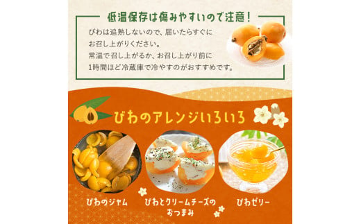 千葉県南房総市のふるさと納税 【先行受付 2025年5月下旬～6月中旬発送予定】房州びわ(露地)12粒入2Lサイズ以上1箱 mi0010-0010 【 びわ フルーツ 旬 季節 果物 瑞々しい お取り寄せ グルメ】