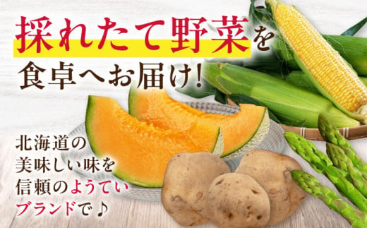  ジャガイモ じゃがいも 野菜 季節の野菜 詰め合わせ 北海道 産地直送