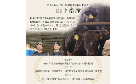 鳥取県倉吉市のふるさと納税 鳥取和牛 オレイン55 ヒレステーキ250g 牛肉 ヒレ ヒレステーキ 和牛 国産牛 ステーキ 黒毛和牛 肉 国産 ブランド牛 赤身 希少部位 最高級部位 鳥取県 倉吉市