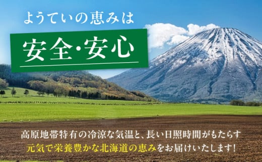 北海道喜茂別町のふるさと納税  キタアカリ・玉ねぎセット 計20kg（キタアカリ・玉ねぎ各10kg）《喜茂別町》【Aコープようてい】 じゃがいも ジャガイモ 玉ねぎ キタアカリ 季節の野菜 産地直送 北海道 [AJAK017] 14000 14000円