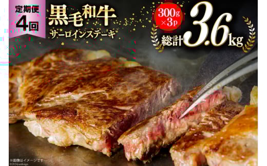 4回 定期便 宮崎県産 黒毛和牛 サーロイン ステーキ 300g ×3×4ヶ月 合計3.6kg [サンアグリフーズ 宮崎県 美郷町 31ba0033] 小分け 冷凍 牛 肉 霜降り 真空包装
