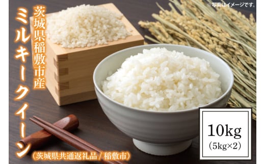 【令和6年産】茨城県稲敷市産ミルキークイーン10kg(5kg×2)（茨城県共通返礼品/稲敷市）【お米 米 コメ ごはん 茨城県】（IM-24）