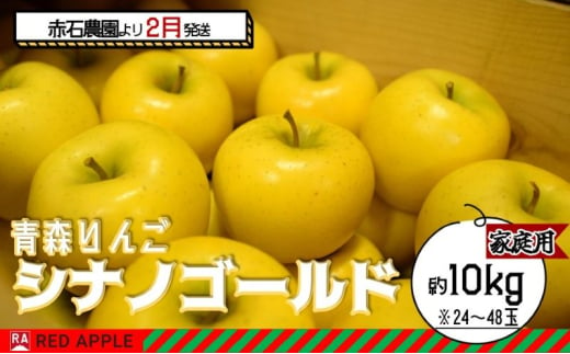 りんご 【 2月発送 】 家庭用 シナノゴールド 約 10kg 【 弘前市産 青森りんご  果物類 林檎 リンゴ  】