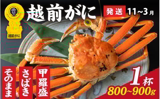 【先行予約】選べる！美味しさ直送【成前特選】 越前がに（800g～900g）×1杯【11月～3月発送】 甲羅盛 [K-028048_07] / 福井県 福井 オス 雄 ズワイガニ ボイル 冷蔵 越前ガニ 越前がに 越前カニ ずわいがに ずわい蟹 かに カニ 蟹 指定 茹で 甲羅盛り 甲羅盛 すがた 姿 チルド 越前蟹 ずわい ズワイ 茹で蟹 茹で むき身