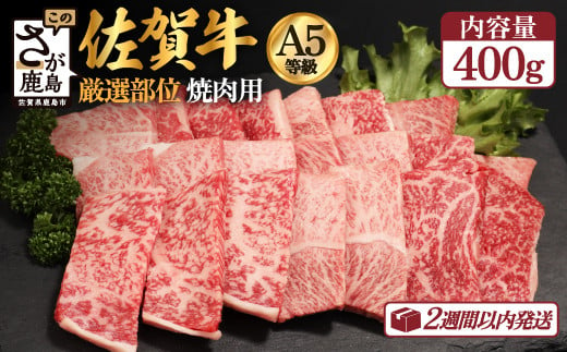 【3月配送】A5等級 佐賀牛 焼肉用 400g【厳選部位】ロース モモ ウデ バラ B-616 1066199 - 佐賀県鹿島市