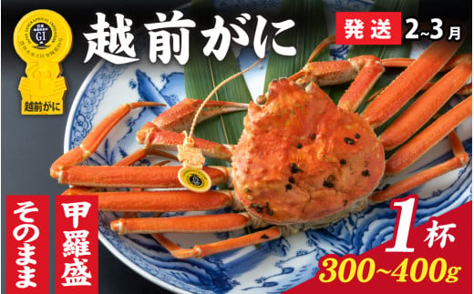 [先行予約]選べる!美味しさ直送[成前特選]越前かに(300g〜400g)×1杯[2月〜3月発送]姿 [C-028041_06]