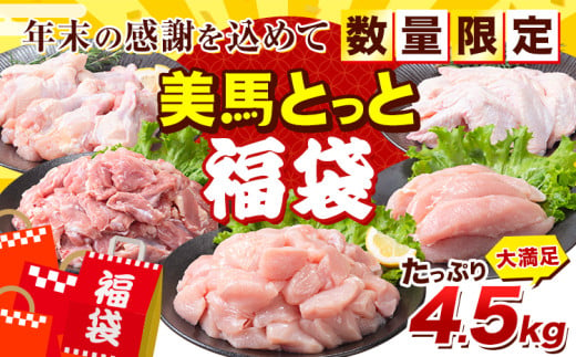 ＜年末限定！＞ 鶏肉 美馬とっと 福袋 《12月上旬-1月中旬頃出荷》 数量限定 大容量 家族用 ファミリーパック ふるさと納税 鶏肉 ふるさと納税 福袋 鶏肉 もも 鶏肉 小分け 鶏肉 むね 鶏肉 もも 小分け とり肉 鶏肉 ささみ 徳島県 美馬市