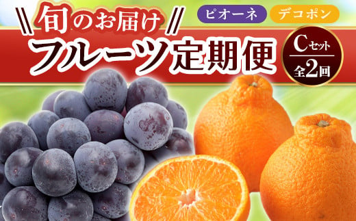 【旬のお届け フルーツ定期便 2回】Cセット ピオーネ 約1.2kg デコポン約5.0kg ぶどう みかん 旬 フルーツ 果物 国産 香川県 F5J-781