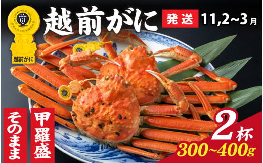 [先行予約]選べる!美味しさ直送[成前特選] 越前がに(300g〜400g)×2杯[11月・2月・3月発送]甲羅盛 [G-028046_07]