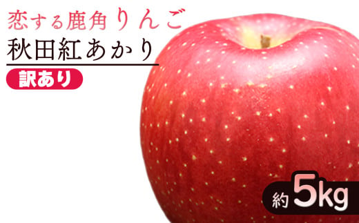 令和6年産 秋田県鹿角産りんご 訳あり「秋田紅あかり」家庭用 約5kg ●2025年2月発送開始【恋する鹿角カンパニー】かづのりんご 食感 果汁 さっぱり リンゴ 完熟 旬 県産りんご 林檎 お中元 お歳暮 贈り物 お見舞い グルメ ギフト 故郷 秋田 あきた 鹿角市 鹿角 1720223 - 秋田県鹿角市