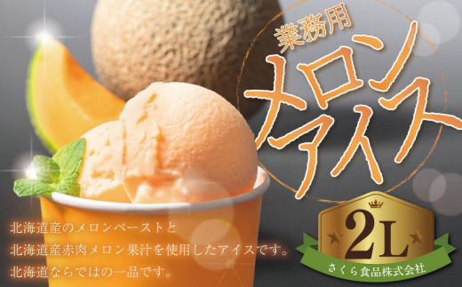 業務用 メロンアイス 2L メロン 赤肉 ペースト 果汁 アイス 北海道産 スイーツ デザート 北海道 小樽市