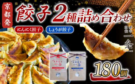 選べる 餃子 2種詰め合わせセット にんにく餃子 ＆ しょうが餃子  180個  冷凍 ぎょうざ ギョウザ ギョーザ しょうが 生姜 豚肉 便利 簡単調理 惣菜 絶品 おかず お子様 家族 こだわり餃子 餃子 人気餃子 簡易包装餃子 冷凍餃子 冷凍生餃子 京都 井手町 京都餃子一条 1733743 - 京都府京都府庁