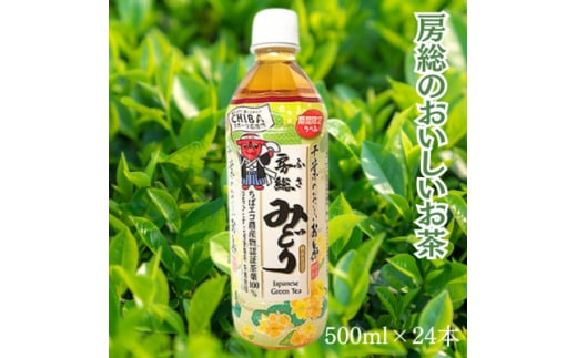 房総のおいしいお茶　500ml×24本(1ケース)　＜千葉県長柄町＞【1561605】 1675536 - 千葉県長柄町