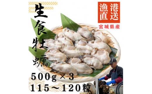 宮城県牡鹿半島産　鮮生牡蠣　500g×3【1550906】 1675524 - 宮城県宮城県庁