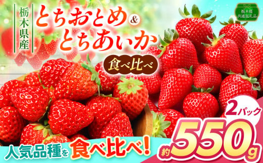 とちあいか・とちおとめ食べ比べ 550g以上（2P） | いちご日本一 ミス苺 応援 農林水産省 最多獲得 秀品 とちおとめ とちあいか 食べ比べ 数量 限定 共通 返礼品 ストロベリー 人気 果物 フルーツ 限定品種  栃木県 特産品 下野市 送料無料 1646269 - 栃木県下野市