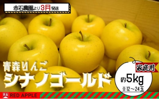 りんご 【 3月発送 】 家庭用 シナノゴールド 約 5kg 【 弘前市産 青森りんご  果物類 林檎 リンゴ  】