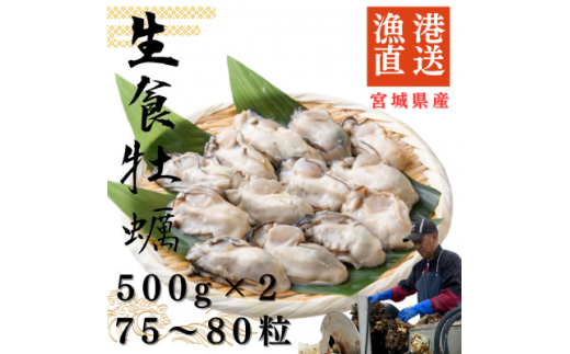 宮城県牡鹿半島産　鮮生牡蠣　500g×2【1550892】 1675523 - 宮城県宮城県庁