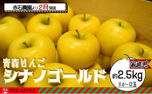 りんご 【 2月発送 】 家庭用 シナノゴールド 約 2.5kg 【 弘前市産 青森りんご 】