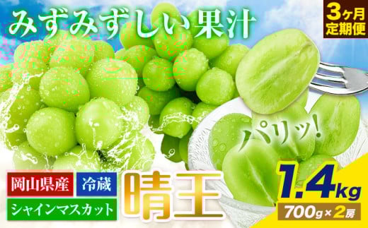 【2025年先行予約】ぶどう 3ヶ月 定期便 シャインマスカット 晴王 1.4kg 2房 岡山県産《7月上旬-9月末頃出荷》 ハレノフルーツ マスカット 送料無料 岡山県 浅口市 フルーツ 果物 国産 岡山県産【配送不可地域あり】 st-p