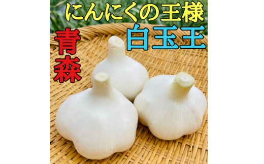 ＜月1000箱即完売＞青森産「にんにくの王様白玉王」10玉(テレビ1泊家族で紹介されました)【1506154】