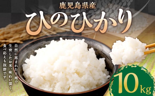 BS-086 【KODAMAFARMS】鹿児島県産 ひのひかり 10kg（5kg×2袋） 【2025年10月中旬以降順次発送】 米 新米 精米 白米 お米