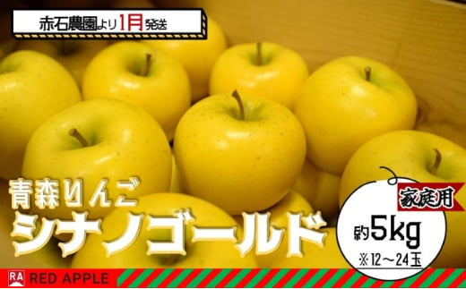 りんご 【 1月発送 】 家庭用 シナノゴールド 約 5kg 【 弘前市産 青森りんご  果物類 林檎 リンゴ  】 1678894 - 青森県弘前市