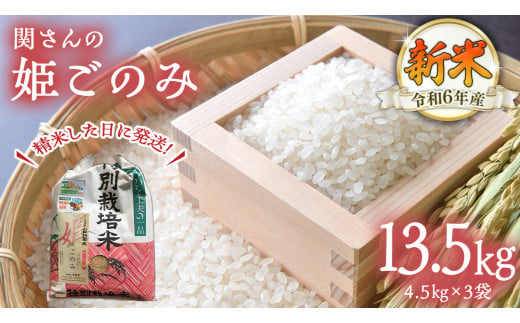 【精米日出荷】みずほの村市場牛久店 関さんの「 姫ごのみ 」4.5kg×3袋 新鮮 米 特別栽培農産物 認定米 お米 白米 精米 ひめごのみ 新米