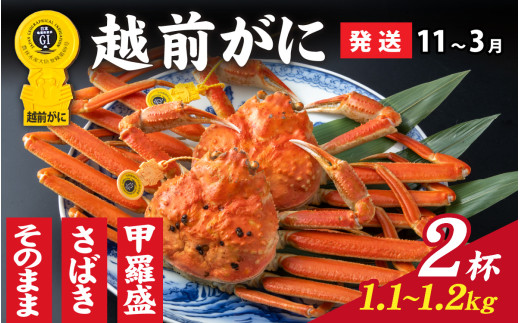 【先行予約】選べる！美味しさ直送【成前特選】越前かに（1.1kg～1.2kg）×2杯【11月～3月発送】捌き  [P-028061_08] 1365519 - 福井県福井市