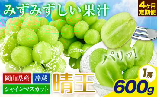 【2025年先行予約】ぶどう 4ヶ月 定期便 シャインマスカット 晴王 600g 岡山県産《7月上旬-10月末頃出荷》 ハレノフルーツ マスカット 送料無料 岡山県 浅口市 フルーツ 果物 国産 岡山県産【配送不可地域あり】 st-p