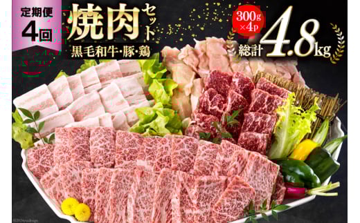 4回 定期便 宮崎県産 焼肉 セット 黒毛和牛 モモ カルビ 豚バラ 若鶏 モモ 合計4.8kg 各300g [サンアグリフーズ 宮崎県 美郷町 31ba0037] 肉 牛肉 豚肉 鶏肉 小分け 冷凍 詰め合わせ 経産牛