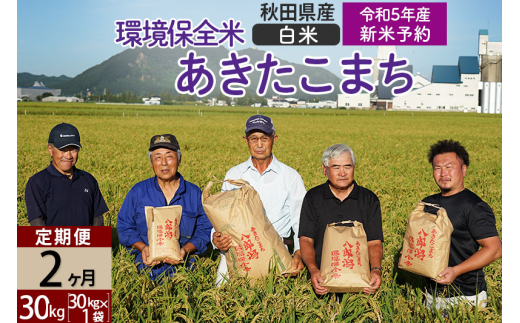 ＜新米予約 R5＞【白米】《定期便2ヶ月》 秋田県産 あきたこまち 環境保全米 30kg (30kg×1袋)×2回 計60kg 980951 - 秋田県八郎潟町