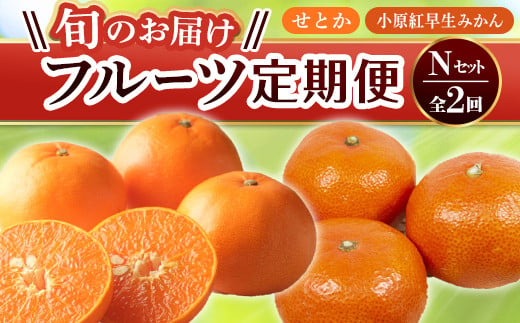 【旬のお届け フルーツ定期便 2回】Nセット せとか 約5.0kg 小原紅早生みかん 約4.5kg みかん 旬 フルーツ 果物 国産 香川県  F5J-792