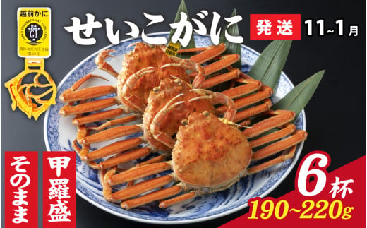 【先行予約】選べる！美味しさ直送【成前特選】 せいこがに（190g～220g）×6杯 甲羅盛【11月～1月発送】 [J-028054_07]