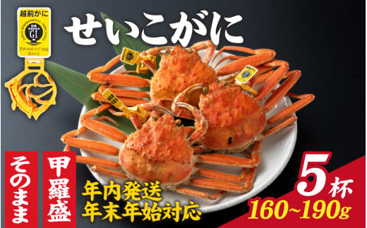  【先行予約】選べる！美味しさ直送【成前特選】せいこがに（160g～190ｇ）×5杯【年内発送・年末年始対応】 姿【E-028010_06】 1367793 - 福井県福井市