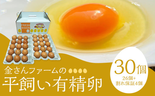 【平飼い有精卵】30個入（26個+割れ保証4個） たまご 卵 玉子 鶏卵 平飼い 有精卵