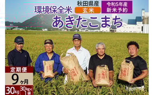 ＜新米予約 R5＞【玄米】《定期便9ヶ月》 秋田県産 あきたこまち 環境保全米 30kg (30kg×1袋)×9回 計270kg 980021 - 秋田県八郎潟町