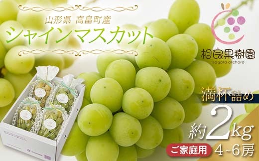 ≪2025年先行予約≫ご家庭用 山形県 高畠町産 シャインマスカット 満杯詰め 約2kg（4～6房）2025年9月中旬頃から順次発送 個包装 ぶどう ブドウ 葡萄 マスカット 大粒 種なし 高級 くだもの 果物 フルーツ ご自宅用 訳あり品 規格外 農家支援品 秋果実 産地直送 農家直送 数量限定 F21B-114 1422678 - 山形県高畠町