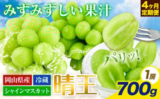 【2025年先行予約】ぶどう 4ヶ月 定期便 シャインマスカット 晴王 700g 岡山県産《7月上旬-10月末頃出荷》 ハレノフルーツ マスカット 送料無料 岡山県 浅口市 フルーツ 果物 国産 岡山県産【配送不可地域あり】 st-p