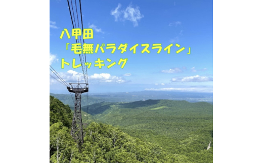 八甲田「毛無パラダイスライン」トレッキング1名様＜体験時間:約5時間＞【1529761】 1675598 - 青森県青森市 |