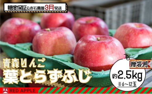 りんご 【 3月発送 】 13度糖度保証 贈答用 葉とらず ふじ 約 2.5kg 【 弘前市産 青森りんご  果物類 林檎 リンゴ  】 1678870 - 青森県弘前市