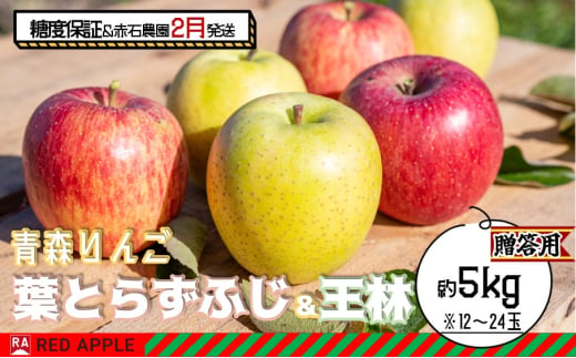 りんご 【 2月発送 】 13度糖度保証 贈答用 葉とらず ふじ ＆ 王林 約 5kg 【 弘前市産 青森りんご  果物類 林檎 リンゴ  】 1678887 - 青森県弘前市