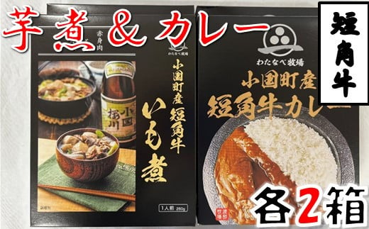 短角牛いも煮・短角牛カレー　各2箱づつ 1675901 - 山形県小国町