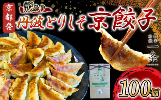 訳あり 丹波とりしそ京餃子 100個 冷凍 ぎょうざ ギョウザ ギョーザ 便利 簡単調理 惣菜 絶品 おかず お子様 家族 こだわり餃子 餃子 人気餃子 簡易包装餃子 訳あり餃子 訳アリ 冷凍餃子 冷凍生餃子 京都 井手町 京都餃子一条 1733739 - 京都府京都府庁