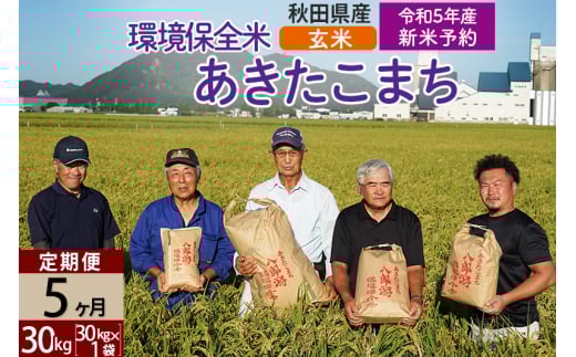 ＜新米予約 R5＞【玄米】《定期便5ヶ月》 秋田県産 あきたこまち 環境保全米 30kg (30kg×1袋)×5回 計150kg 980025 - 秋田県八郎潟町