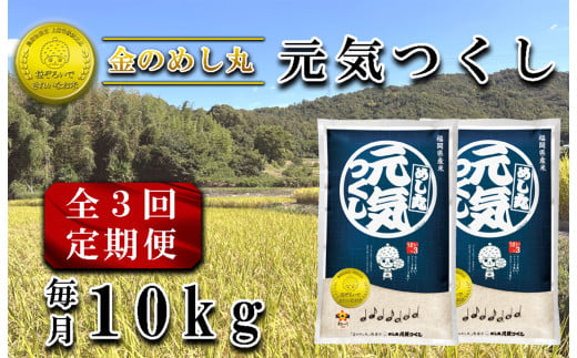 CE-089_【定期便３回】金のめし丸元気つくし　10Kg（２袋） 1717719 - 福岡県行橋市